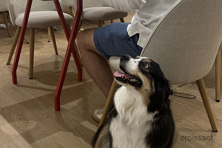 a person and a dog sitting on the floor