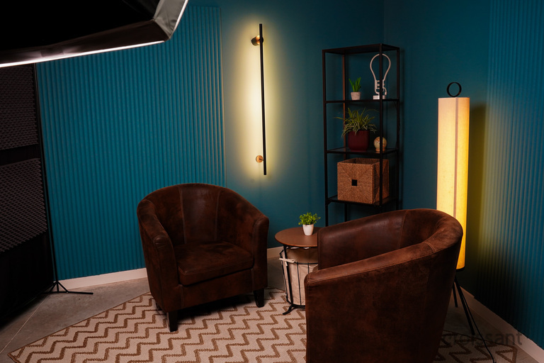 a screen shot of a living room