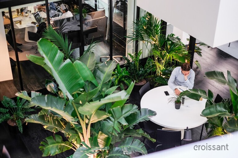 a table with a plant in a garden