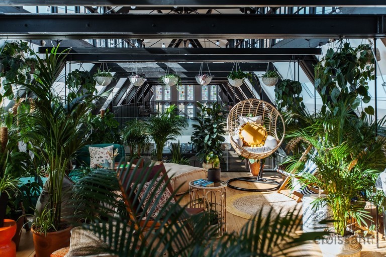 a dining table with a plant in a garden
