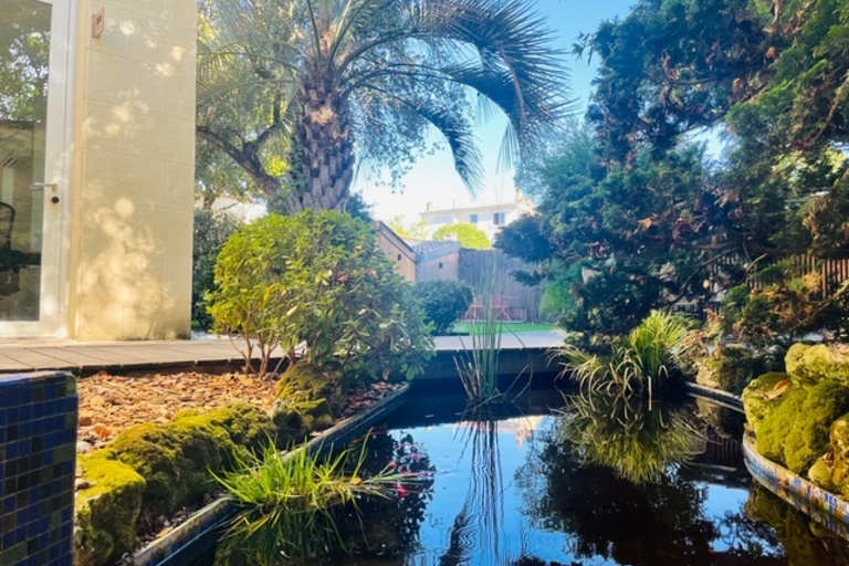 a view of a lake surrounded by trees